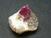 Ruby Crystal from Winza Tanzania - 1.2"