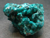 Very Nice Dioptase Cluster from Congo - 1.8" - 71.57 Grams