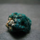 Very Nice Dioptase Cluster from Congo - 0.7" - 5.05 Grams