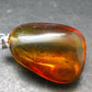 Natural Insects in Baltic Amber 925 Silver Pendant from Poland - 1.5" - 5.07 Grams