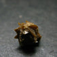 Rare Monazite Crystal From Brazil - 0.4" - 1.09 Grams