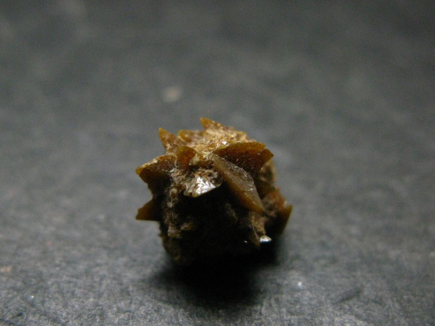 Rare Monazite Crystal From Brazil - 0.4" - 1.09 Grams