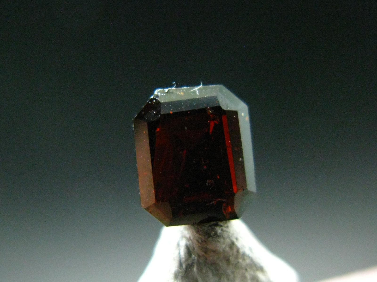Rare Gem Staurolite Cut Stone from USA - 0.62 Carats