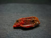 Large Orange Crocoite Crystal From Australia - 0.9" - 19.70 Carats