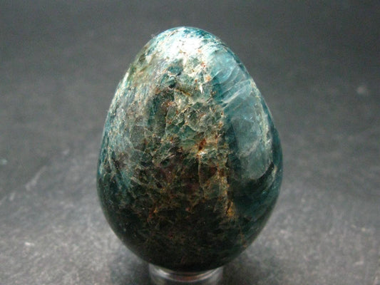 Large Neon Blue Apatite Egg from Madagascar - 107.68 Grams - 1.9"