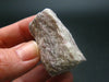 Rare Vitalite Crystal From New Zealand - 1.5" - 23.45 Grams