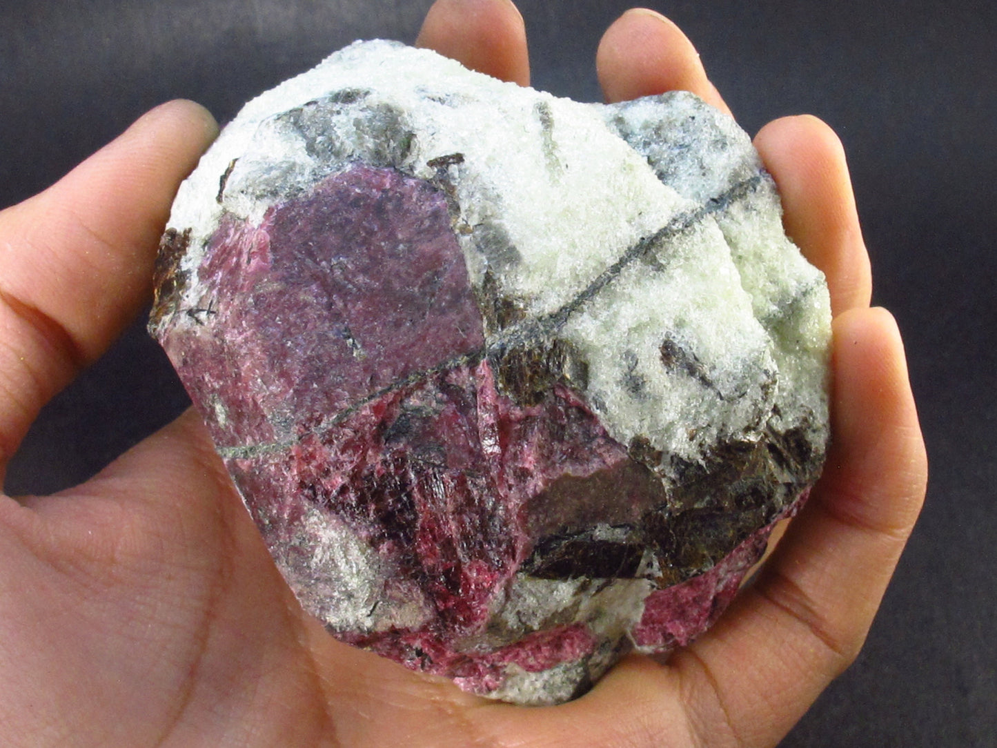 Rare Red Eudialyte Eudyalite Crystal from Russia - 3.2" - 296 Grams