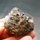 Brookite On Quartz Cluster From Arkansas - 36.46 Grams - 1.6"