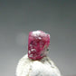 Nice Rare Gem Bixbite Red Emerald Beryl Crystal From Utah USA - 0.37 Carats