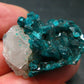 Very Nice Dioptase Cluster w/ Quartz from Congo - 1.5" - 18.18 Grams