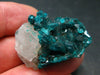 Very Nice Dioptase Cluster w/ Quartz from Congo - 1.5" - 18.18 Grams