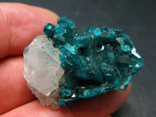Very Nice Dioptase Cluster w/ Quartz from Congo - 1.5" - 18.18 Grams