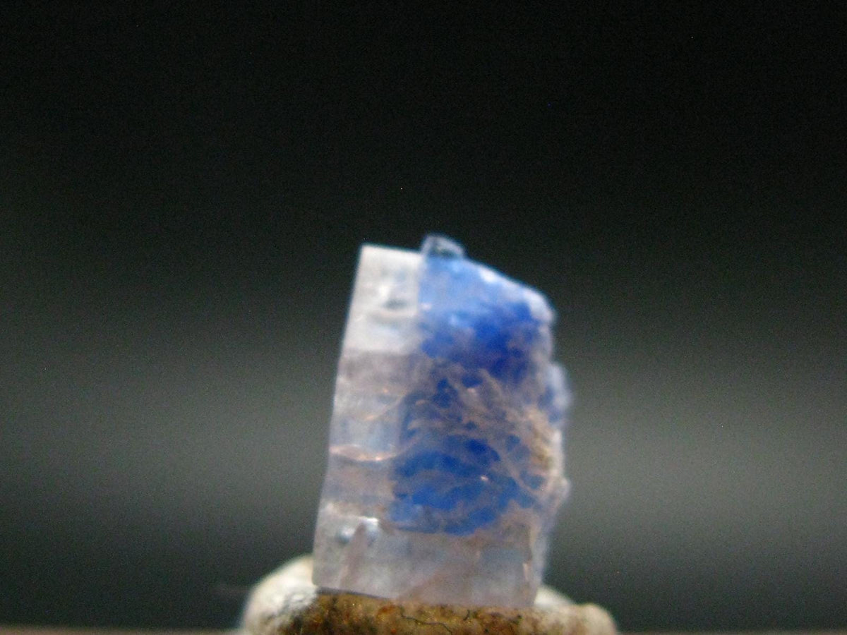 Fine Rare Carletonite Crystal From Mt. St. Hilaire Canada - 0.3" - 0.27 Grams