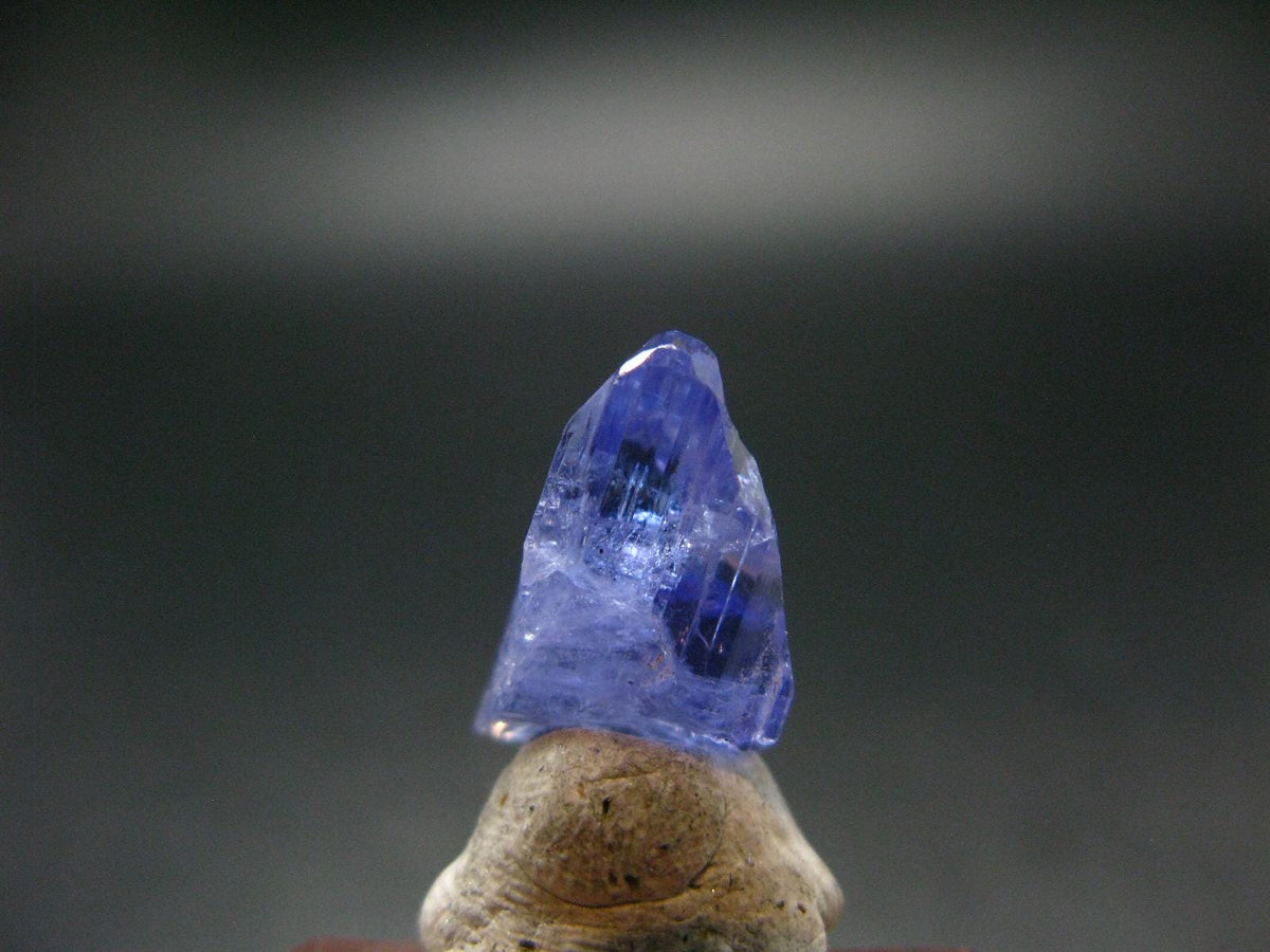 Fine Gem Tanzanite Zoisite Crystal From Tanzania - 12.30 Carats - 0.6"