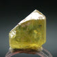 Large Gem Golden Apatite Crystal From Mexico - 0.7"