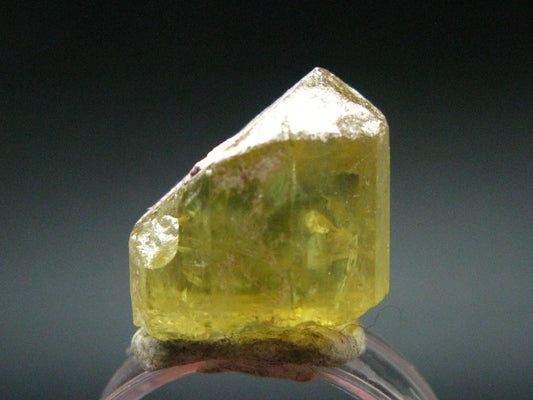 Large Gem Golden Apatite Crystal From Mexico - 0.7"