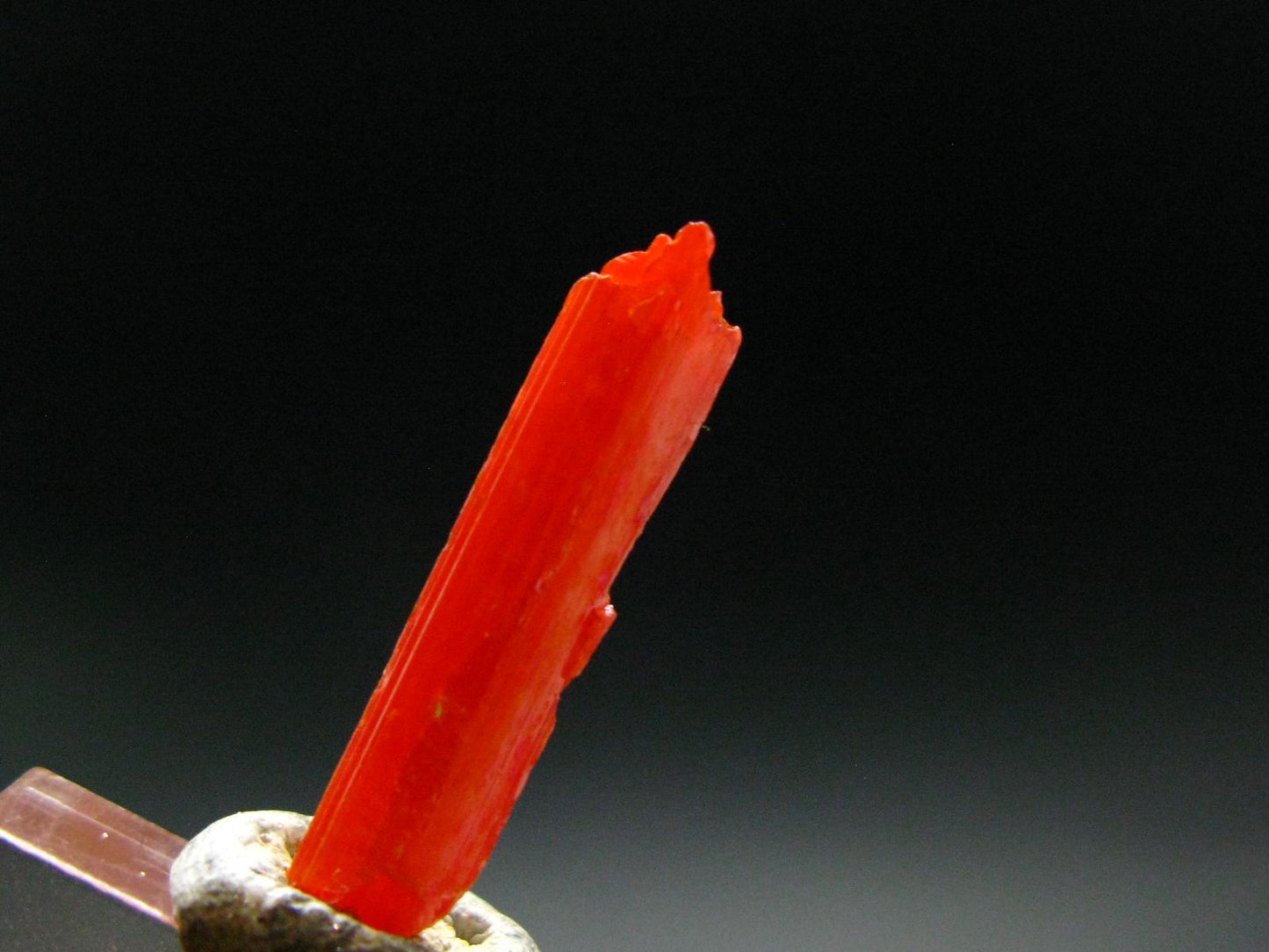 Large Orange Crocoite Crystal From Australia - 0.9" - 6.80 Carats