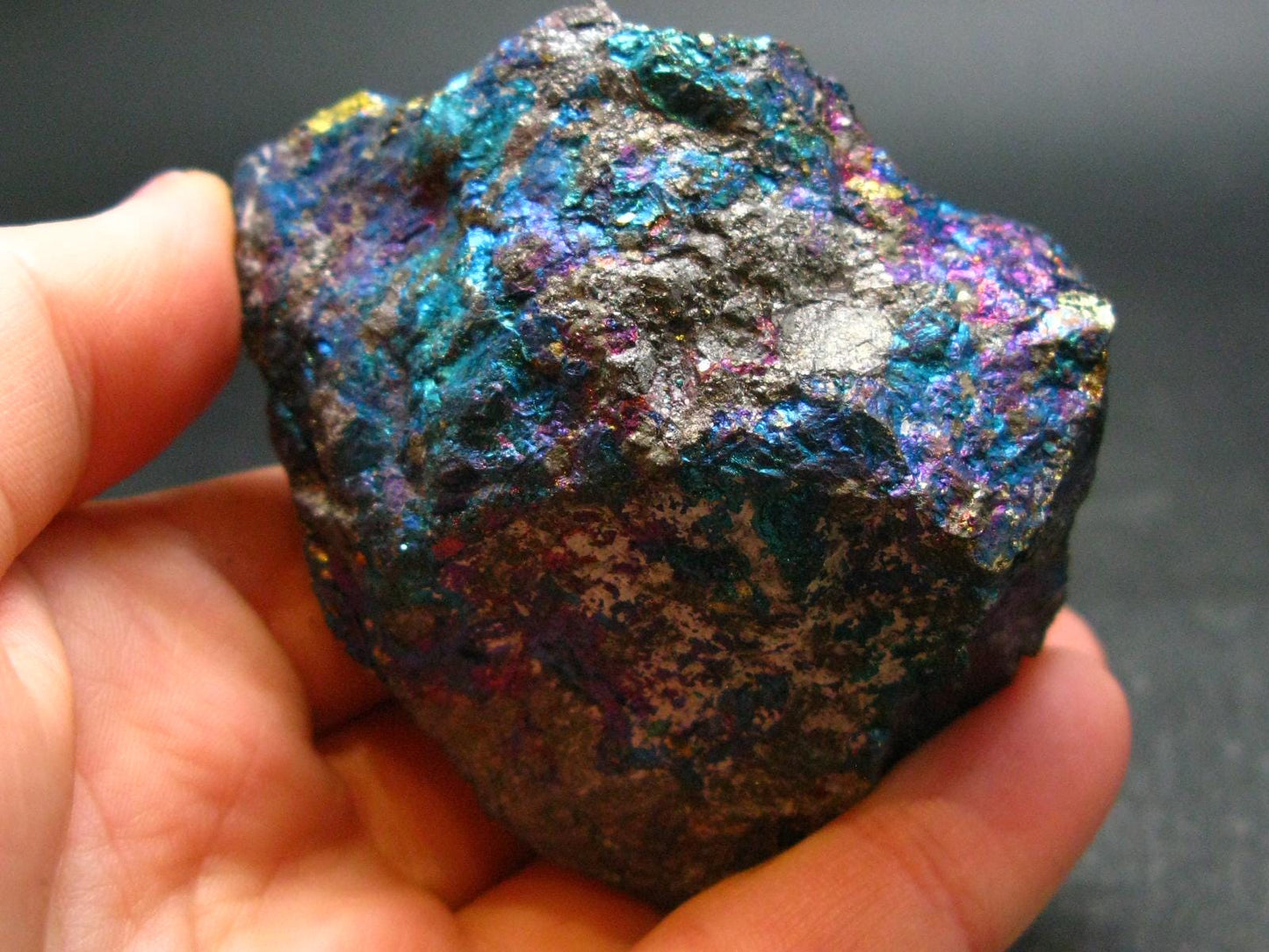 Peacock Ore!! Unusual Natural Raw Chalcopyrite Bornite from Mexico - 2.4" - 235.50 Grams