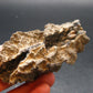 Large Fulgurite Lightning Rock From Sahara Desert - 3.2"