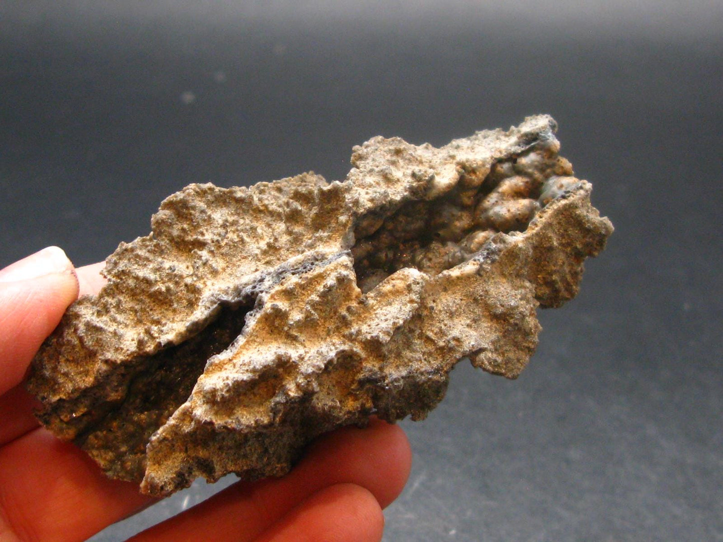 Large Fulgurite Lightning Rock From Sahara Desert - 3.2"