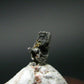 Rare Platinum Crystal From Russia - 6mm - 0.25 Grams