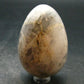 Blue Kyanite Egg From Brazil - 2.5"