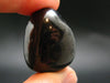 Elite Shungite Tumbled Piece from Russia - 1.2" - 17.75 Grams