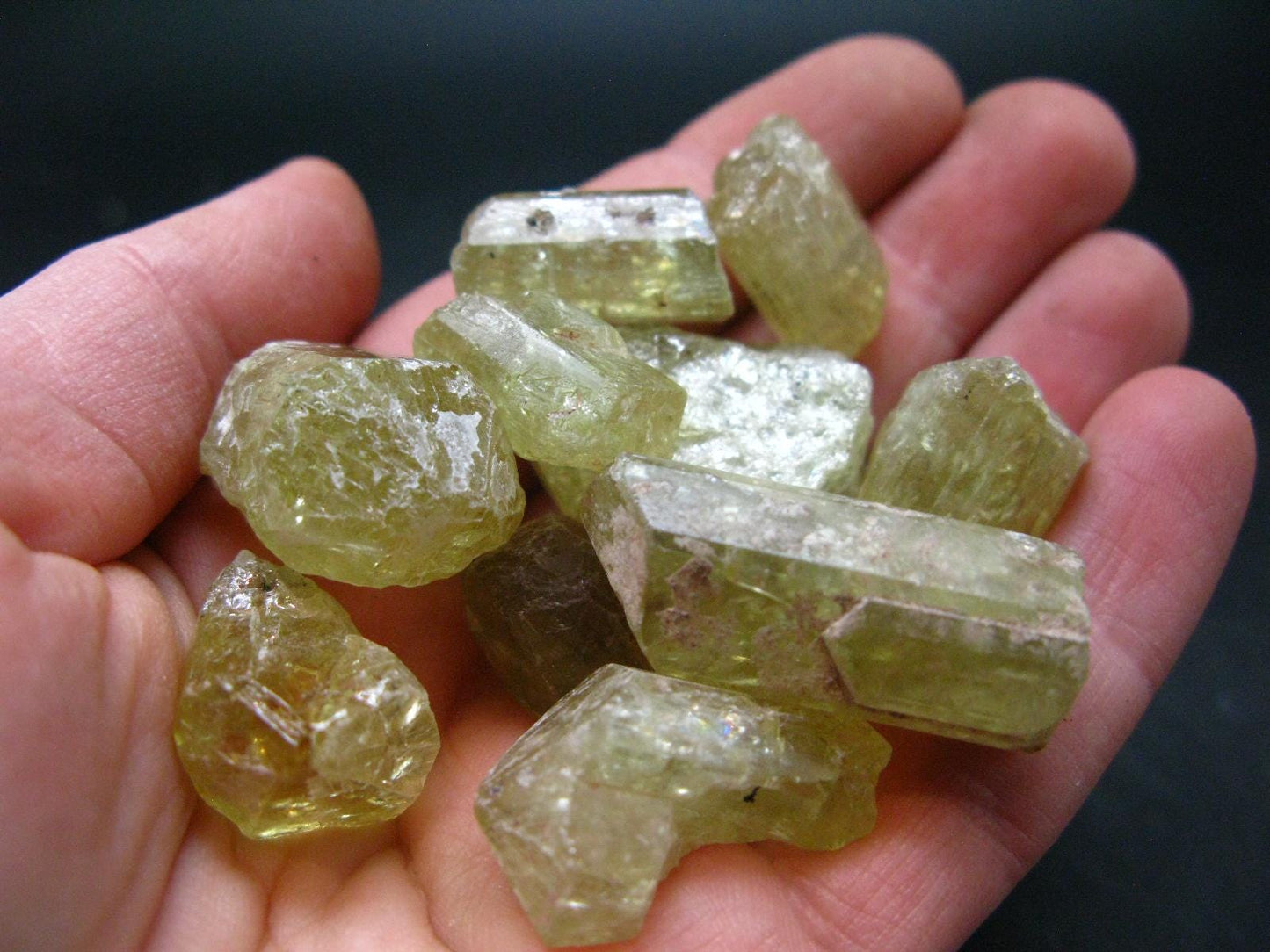 Lot of 10 Gem Golden Apatite Crystals From Mexico