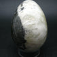 Russian Treasure from the Earth!! Large Rare Scolecite Egg from Russia - 2.8"