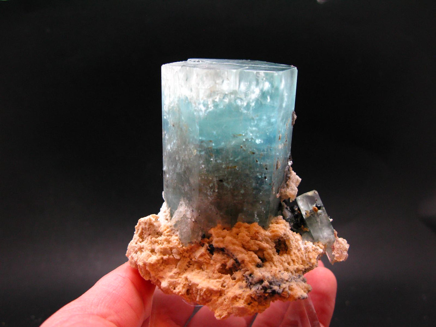 Big Aquamarine & Black Tourmaline Crystal From Erongo Namibia - 3.3"