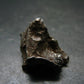 Sikhote Alin Meteorite From Russia - 13.59 Grams - 1.0"