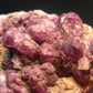 Alexandrite Chrysoberyl Cluster From Zimbabwe - 34.39 Grams - 1.7"