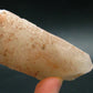 Nirvana Quartz Crystal From Himalayas - 3.0" - 111.65 Grams