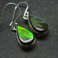 Ammolite Amolite Sterling Silver Earrings From Canada - 1.2"