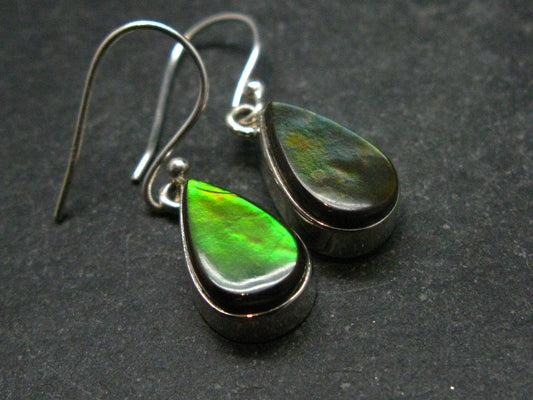 Ammolite Amolite Sterling Silver Earrings From Canada - 1.2"