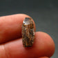 Rare Xenotime Crystal from Brazil - 0.6" - 1.34 Grams