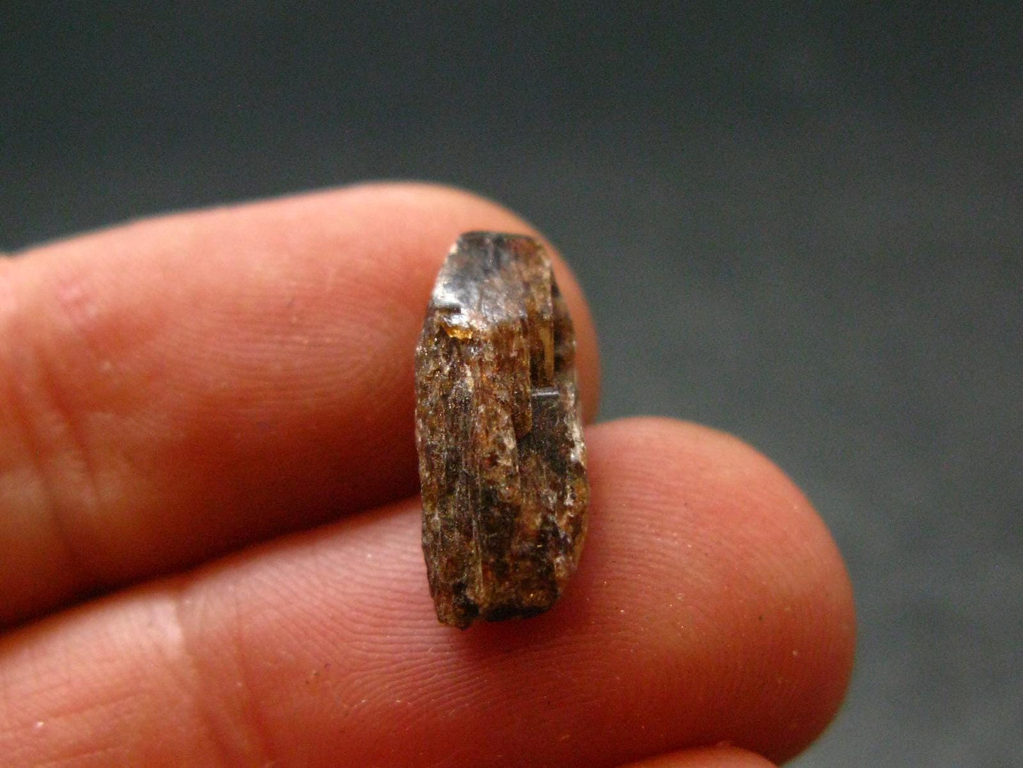 Rare Xenotime Crystal from Brazil - 0.6" - 1.34 Grams