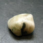 Gem Phenakite Phenacite Tumbled Stone From Russia - 47.45 Carats - 0.9"
