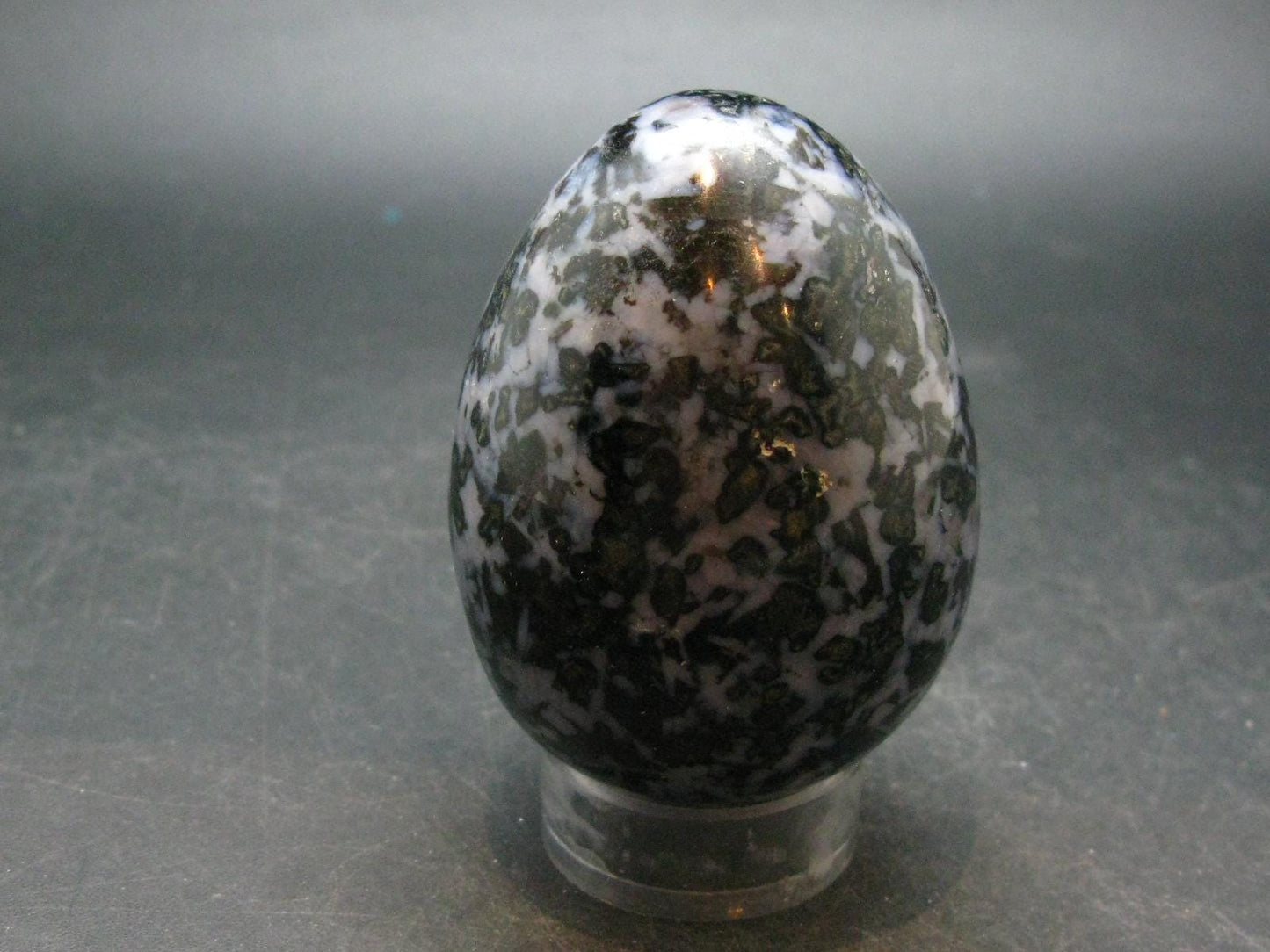 Rare Gabbro Mystic Merlinite Egg from Indian Ocean - 2.8" - 246.45 Grams