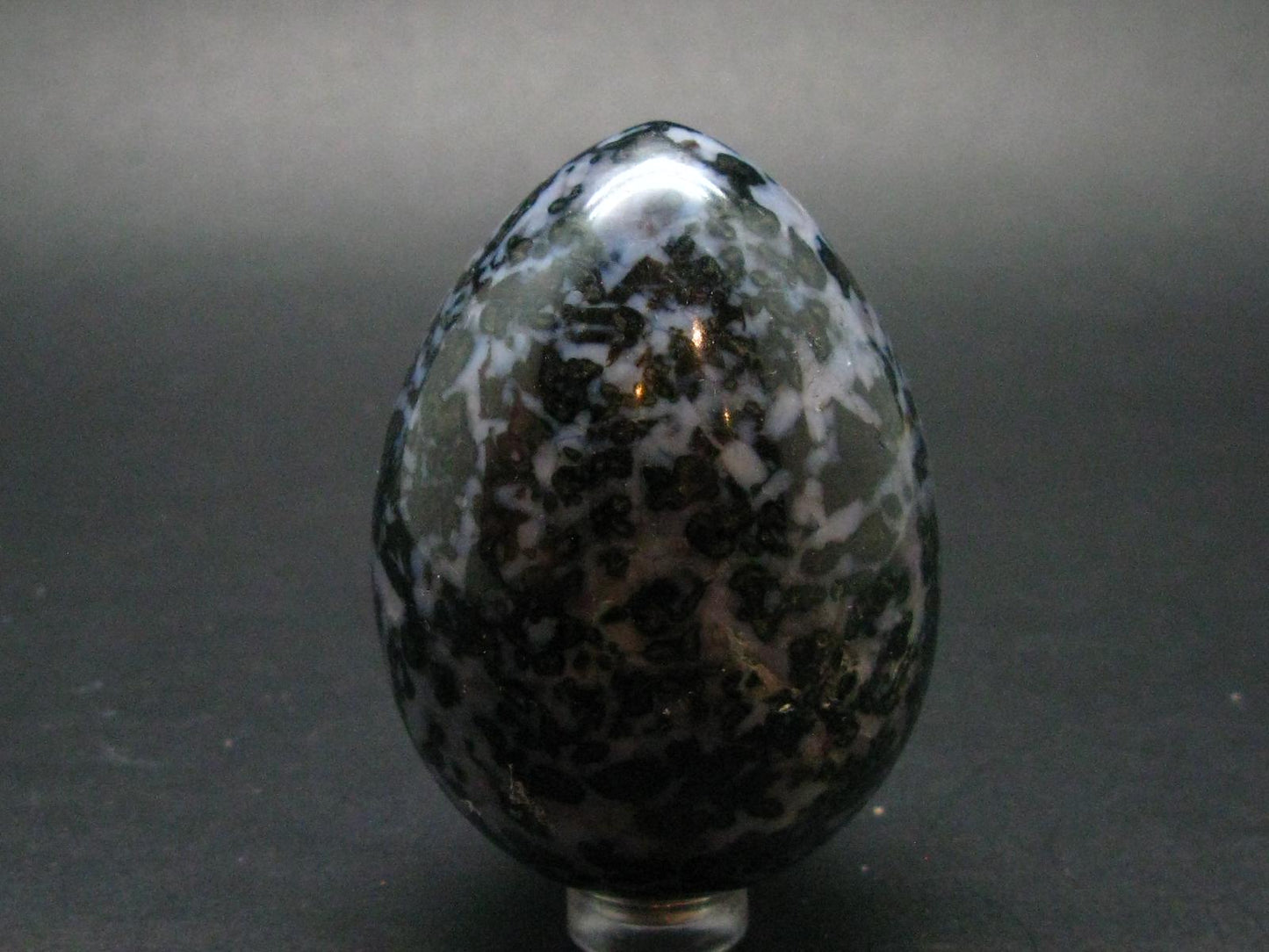 Rare Gabbro Mystic Merlinite Egg from Indian Ocean - 2.5" - 220.78 Grams