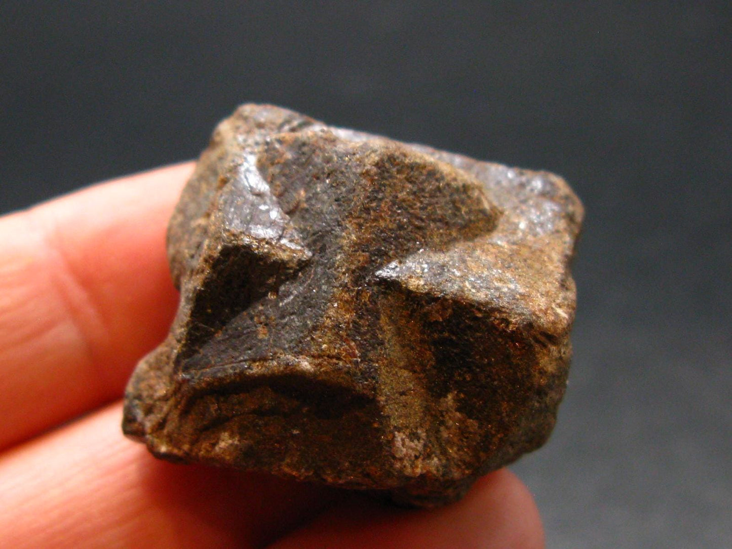 Staurolite Crystal from USA - 24.31 Grams - 1.1"