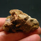 Rare Huge Monazite Crystal From Brazil - 1.5" - 23.96 Grams