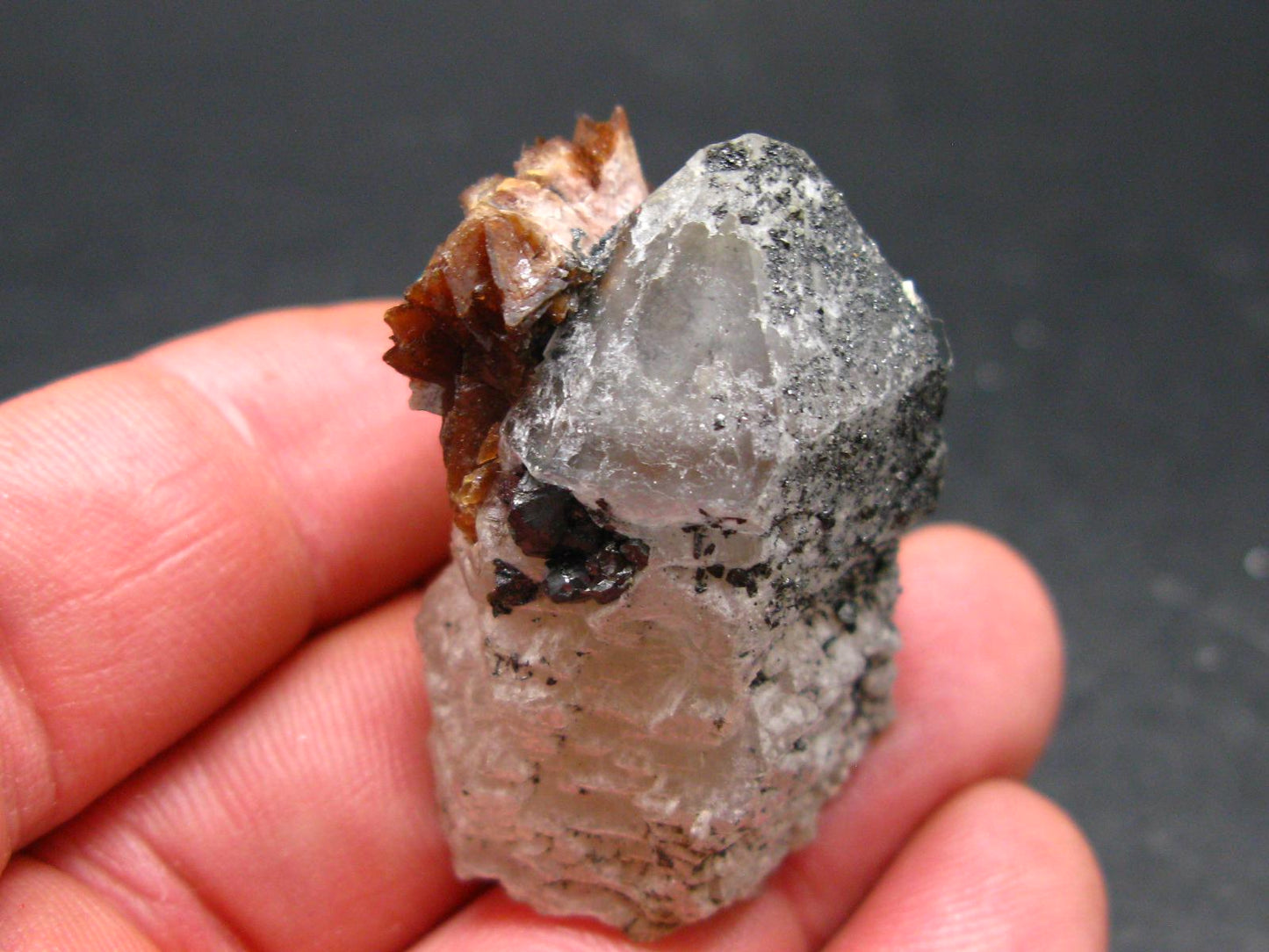 Rare Helvite on Quartz Cluster from China - 1.6" - 27.91 Grams