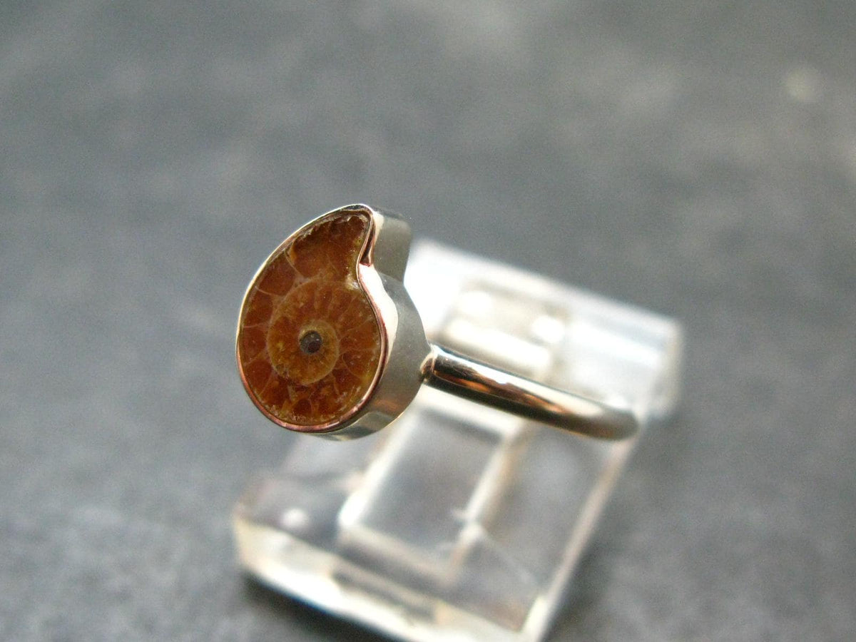 Natural Whole Polished Agatized Ammonite Cleoniceras Sterling Silver Ring from Madagascar - 1.88 Grams - Size 5