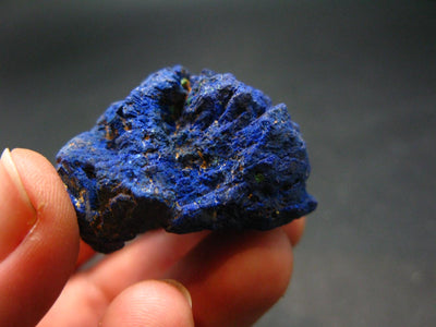 Azurite Crystal From Russia - 1.4" - 34.64 Grams