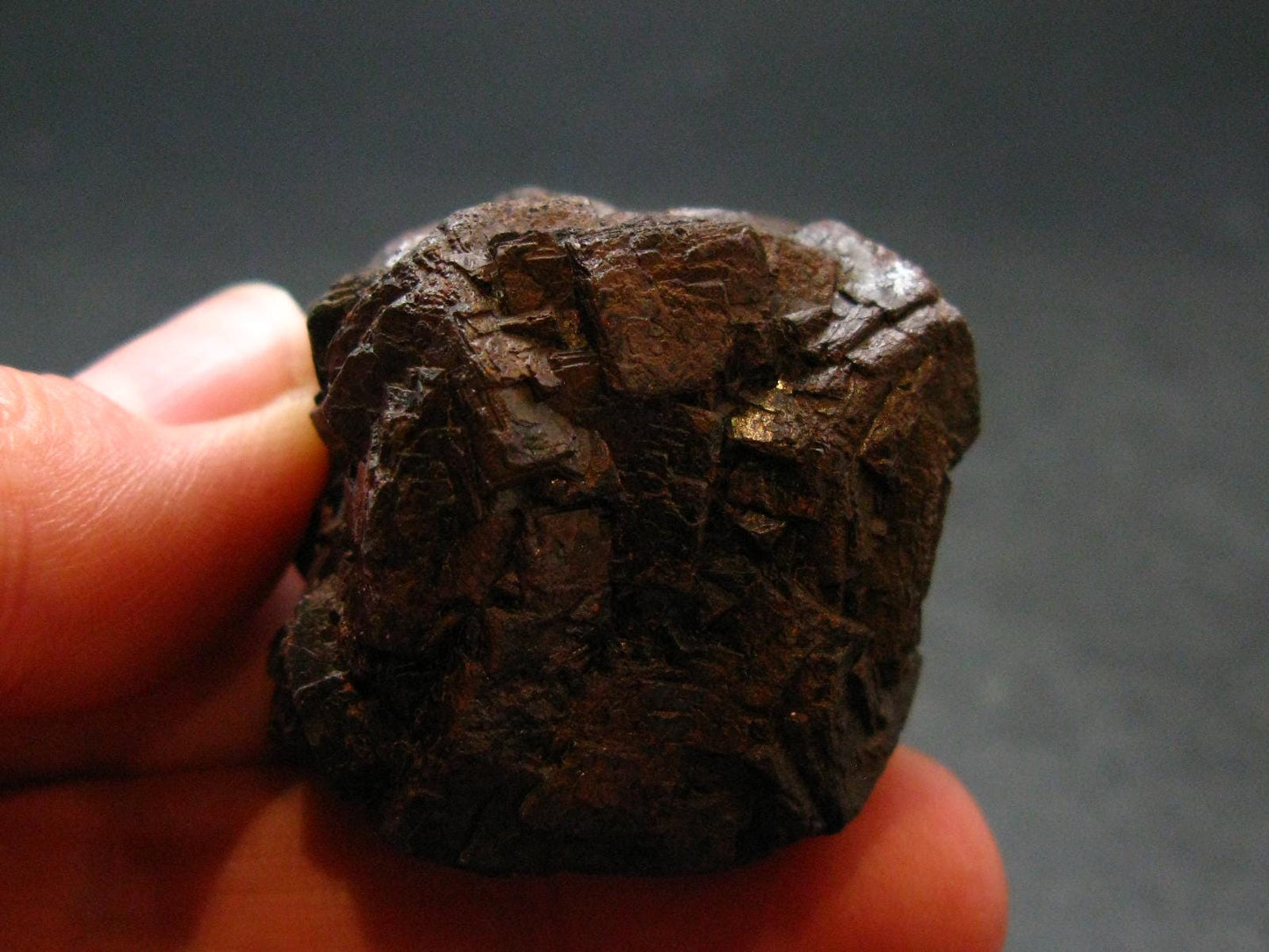 Rare Prophecy Stone Limonite after Pyrite From Egypt - 1.1" - 63.16 Grams