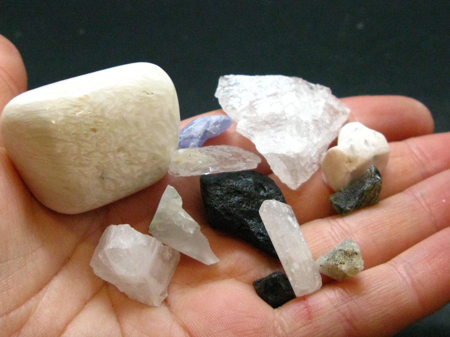 Synergy 12 Set Phenakite Moldavite Natrolite Petalite Danburite Tektite Scolecite Herderite Tanzanite Brookite 47.56 Gr