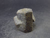 Staurolite Fairy Cross Crystal From USA - 1.0" - 23.2 Grams