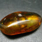 Insects in Amber Piece From Baltic Sea - 4.68 Grams - 1.6"