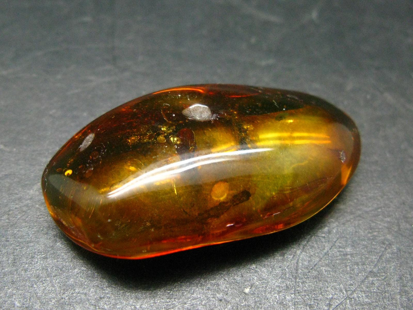 Insects in Amber Piece From Baltic Sea - 4.68 Grams - 1.6"